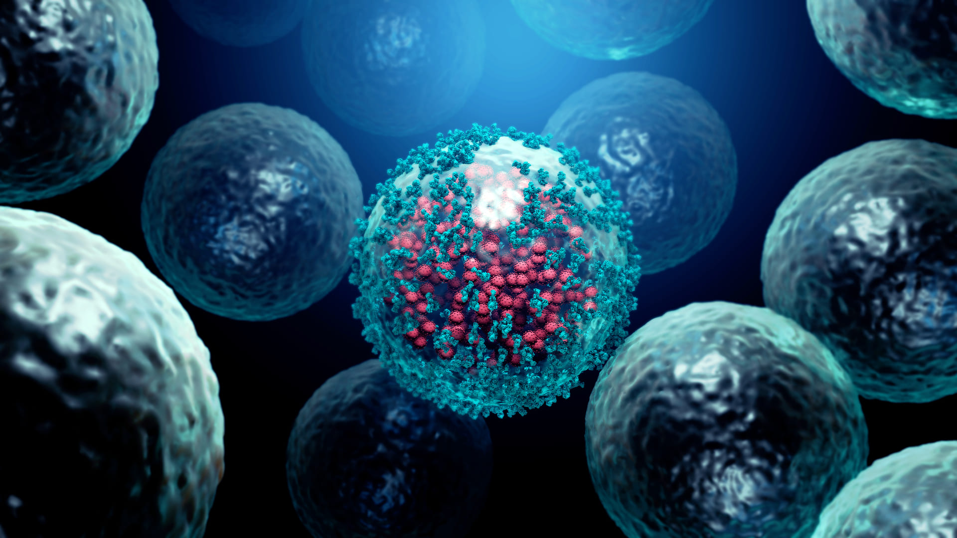 Clarification on Cell Immunotherapy in the EU and Key Immunotherapy Approaches